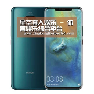 华为无线快充手机