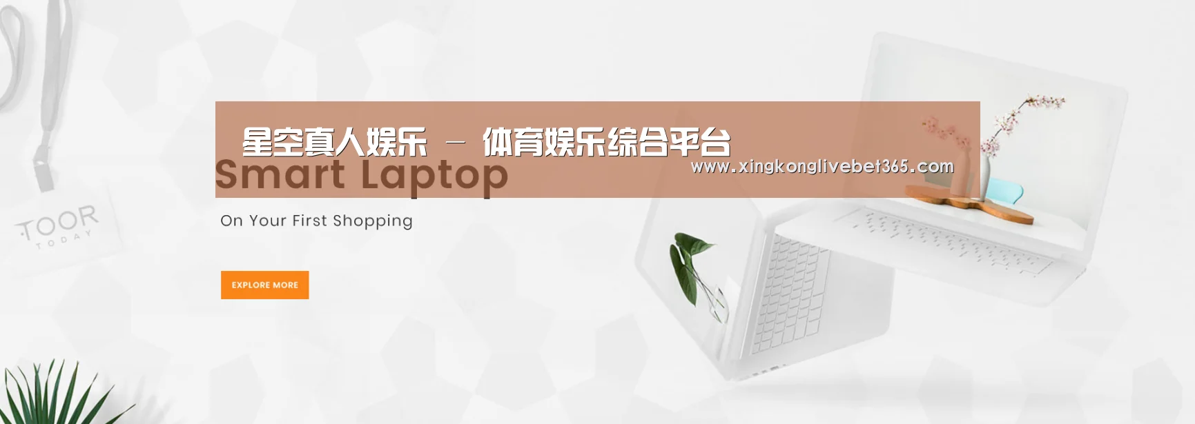 某某网络科技有限公司